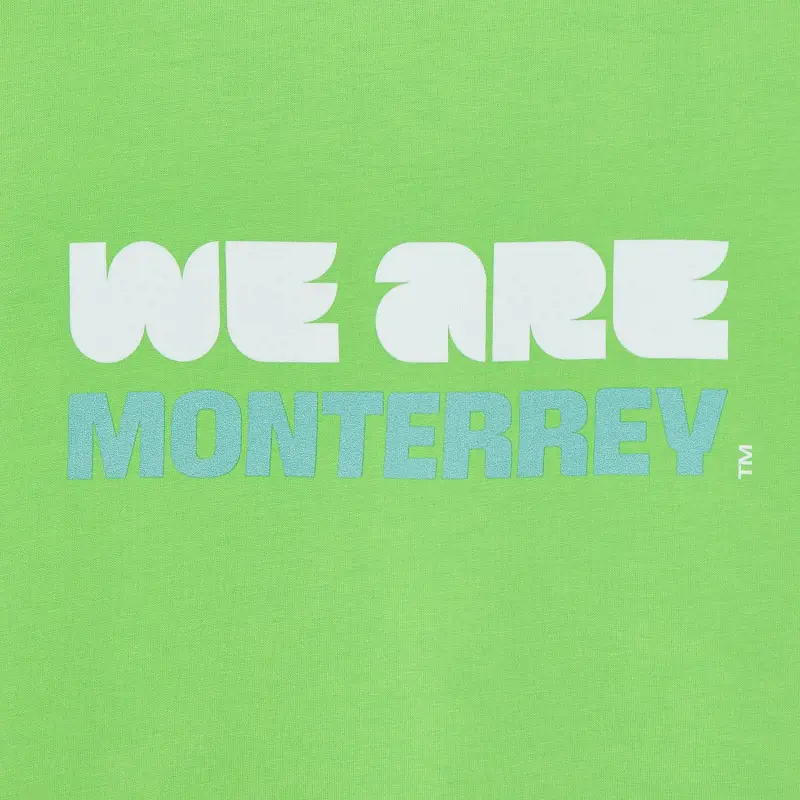 Argentina Kits Store – 2026 World Cup Monterrey T-Shirt – Unisex Soccer Kits and Apparel